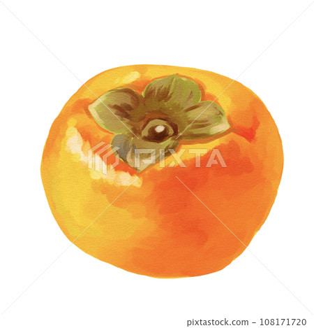 Persimmon illustration hand-painted oil painting style 108171720