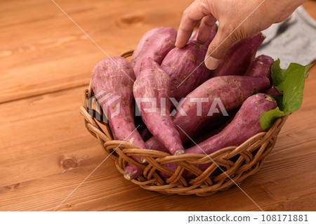 Taste of Autumn Sweet Potato Naruto Kintoki Potato Very Delicious Sticky Sweet Potato Wood Grain Back Taste of Autumn Sweet Potato Naruto Kintoki Potato Very Delicious Sticky Sweet Potato Wood Grain Back 108171881