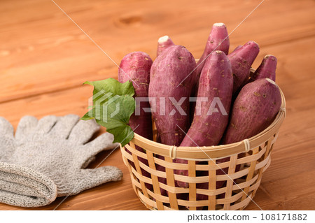 Taste of Autumn Sweet Potato Naruto Kintoki Potato Very Delicious Sticky Sweet Potato Wood Grain Back Taste of Autumn Sweet Potato Naruto Kintoki Potato Very Delicious Sticky Sweet Potato Wood Grain Back 108171882