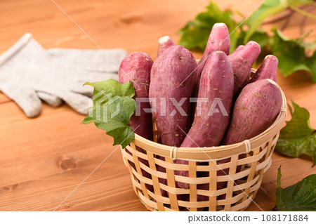 Taste of Autumn Sweet Potato Naruto Kintoki Potato Very Delicious Sticky Sweet Potato Wood Grain Back Taste of Autumn Sweet Potato Naruto Kintoki Potato Very Delicious Sticky Sweet Potato Wood Grain Back 108171884