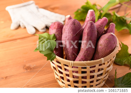Taste of Autumn Sweet Potato Naruto Kintoki Potato Very Delicious Sticky Sweet Potato Wood Grain Back 108171885