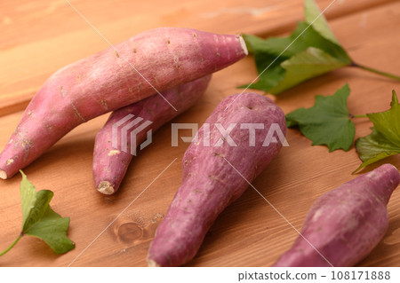 秋天的味道 紅薯 鳴人金時薯 非常美味 黏性紅薯 木紋背 108171888