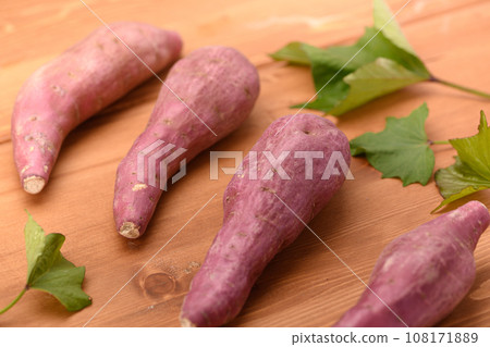 秋天的味道 紅薯 鳴人金時薯 非常美味 黏性紅薯 木紋背 108171889