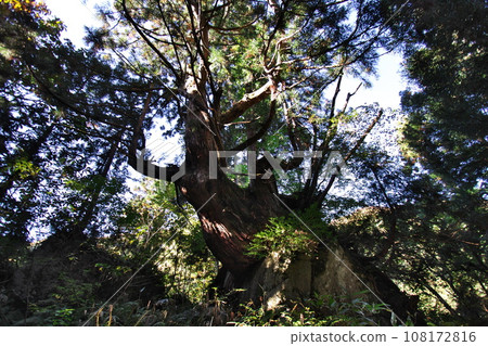 Toyama Prefecture Uozu City Horosugi Gun 5 108172816