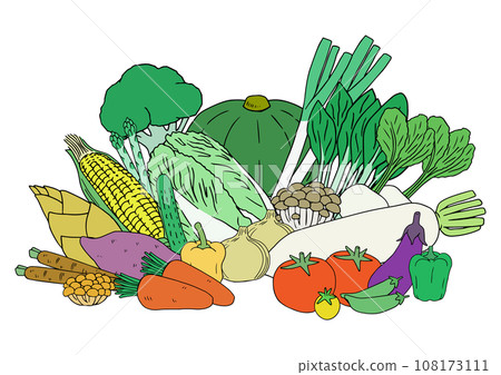各種蔬菜的集合的插圖 108173111