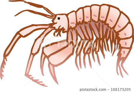 Yoko shrimp Yoko shrimp 108173205