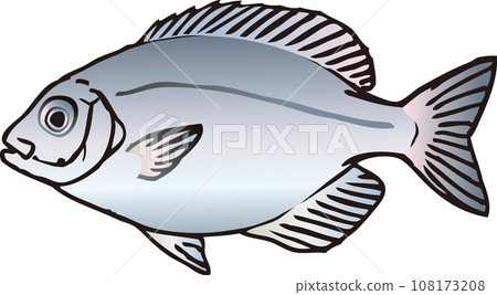 Matanago Matanago 108173208