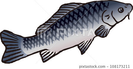 一條鯉魚 108173211