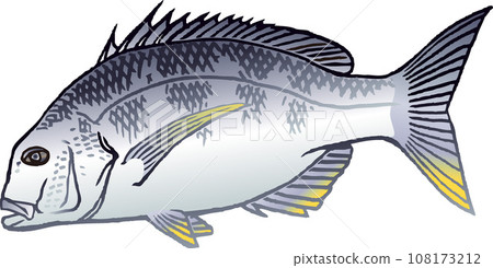 基奇努 基奇努 108173212