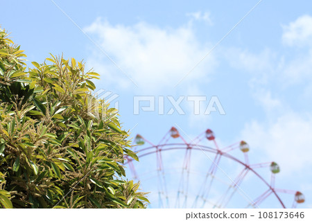 Caterina flowers, Ferris wheel and blue sky 108173646