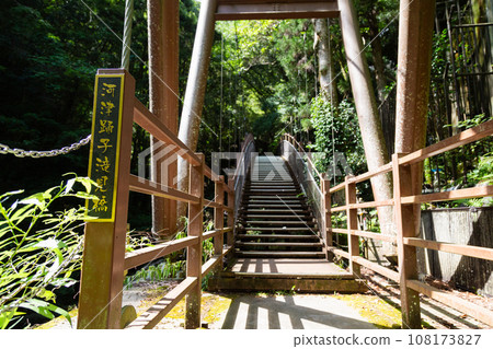 河津七瀑布/河津舞子瀧見橋 河津七瀑布/河津舞子瀧見橋 108173827