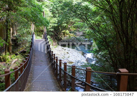 Kawazu Seven Falls/Kawazu Odoriko Takimi Bridge Kawazu Seven Falls/Kawazu Odoriko Takimi Bridge 108173847