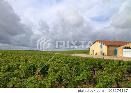 法國波爾多北部著名葡萄酒產區梅多克地區的葡萄園 108174187