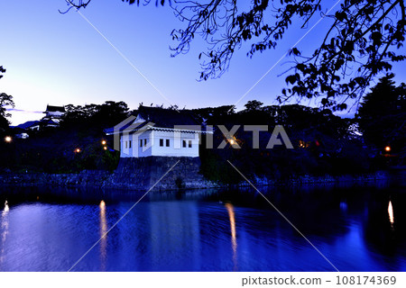 小田原城天守閣和角樓的夜景 小田原城天守閣和角樓的夜景 108174369