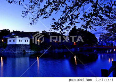 小田原城天守閣和角樓的夜景 小田原城天守閣和角樓的夜景 108174371