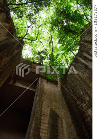 藪塚採石場遺址(群馬縣) 藪塚採石場遺址(群馬縣) 108175877
