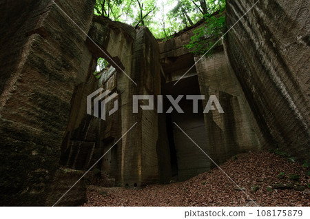 藪塚採石場遺址 藪塚採石場遺址 108175879