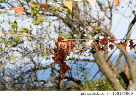Halloween decorations Halloween decorations 108175969