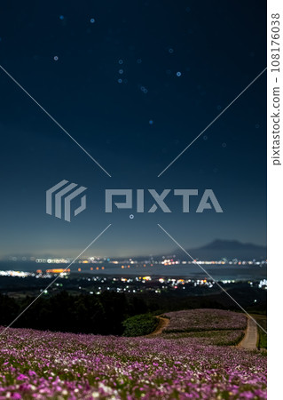 Shirakimine Plateau Nagasaki Isahaya Cosmos 108176038