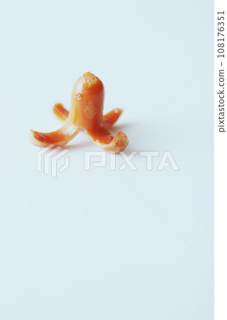 Standard lunch box: Fish sausage octopus wieners Standard lunch box: Fish sausage octopus wieners 108176351