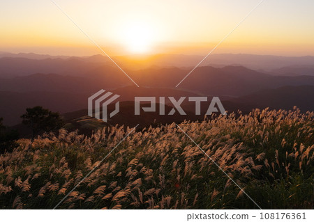 Autumn Bekoyama, evening view of pampas grass from the ruins of Nogaku no Sato Farm, Ikeda Town, Imadate District, Fukui Prefecture 108176361