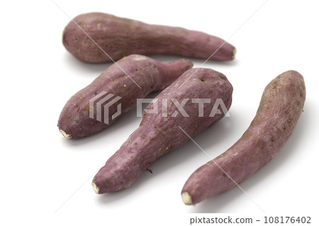 Autumn Taste Sweet Potato Naruto Kintoki Potato Very Delicious Sticky Sweet Potato White Background Autumn Taste Sweet Potato Naruto Kintoki Potato Very Delicious Sticky Sweet Potato White Background 108176402