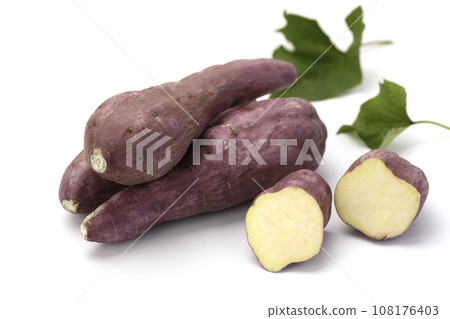 Autumn Taste Sweet Potato Naruto Kintoki Potato Very Delicious Sticky Sweet Potato White Background Autumn Taste Sweet Potato Naruto Kintoki Potato Very Delicious Sticky Sweet Potato White Background 108176403