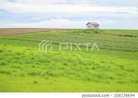 北海道美瑛丘陵(草原與小屋景觀) 北海道美瑛丘陵(草原與小屋景觀) 108176694
