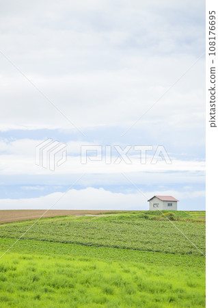北海道美瑛丘陵（草原與小屋景觀） 108176695
