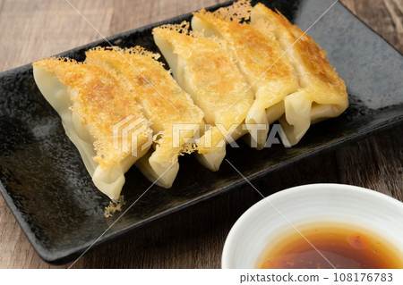 Baked gyoza plate 108176783