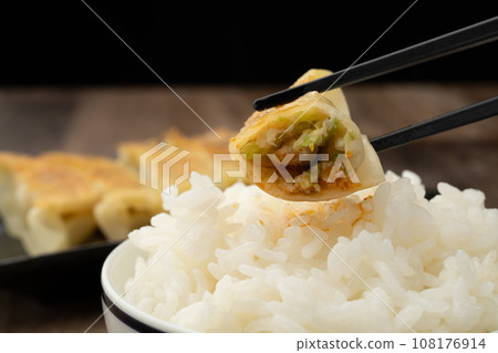 Gyoza cooked rice 108176914