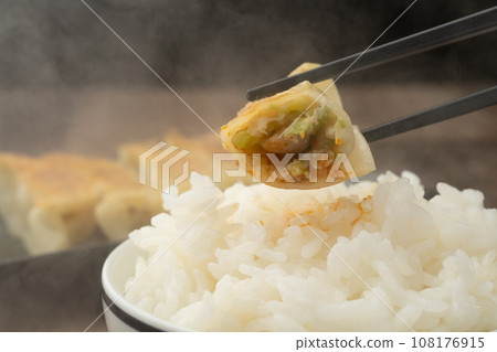 Gyoza cooked rice 108176915