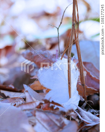 frost pillar frost pillar 108177245