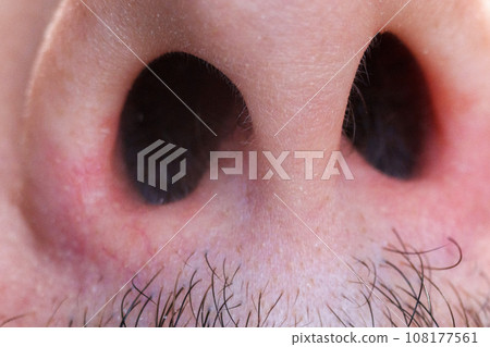 Close up of nostrils and hair in the male nose bottom view. Selective focus 108177561