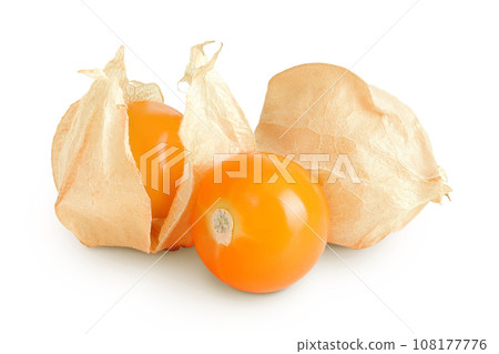 Cape gooseberry or physalis isolated on white background wit full depth of field 108177776