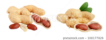 peanuts with leaf isolated on white background 108177826