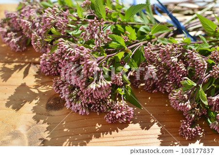 Purple Fujibakama bouquet 108177837