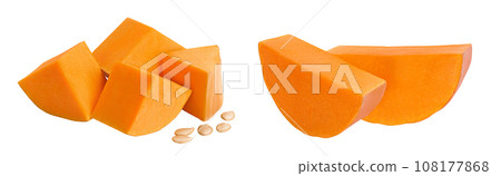 butternut squash slice isolated on white background with full depth of field butternut squash slice isolated on white background with full depth of field 108177868