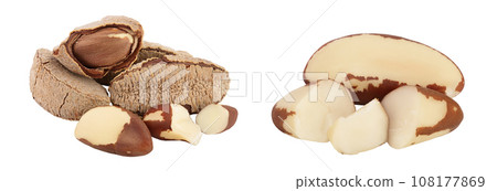 Brasil nuts in nutshell isolated on white background with full depth of field. 108177869