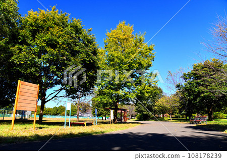 都立六泉公園片井廣場（東京都東久留米市） [2023.10] 108178239