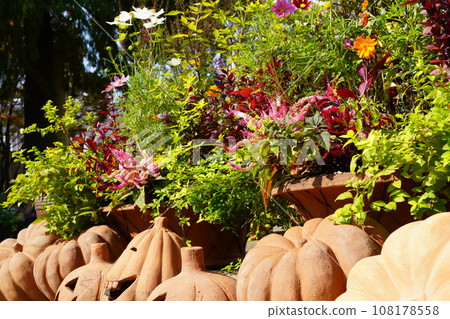 你好旅館和Frarie秋花 你好旅館和Frarie秋花 108178558