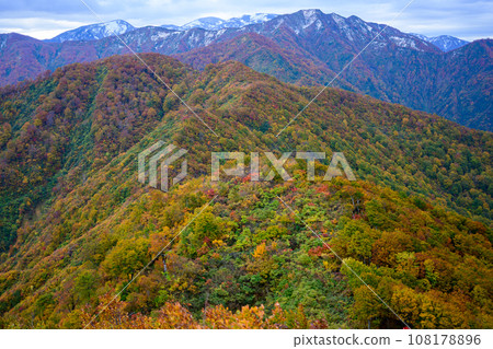 Autumn leaves of Tsugaumi Shindo 108178896