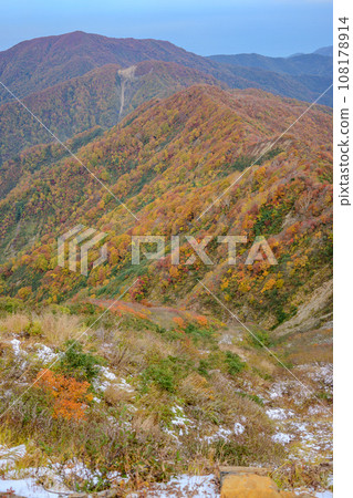 津海新道的秋葉 108178914