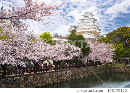 Himeji Castle with beautiful cherry blossom in himeji, Hyogo, japan 108179132