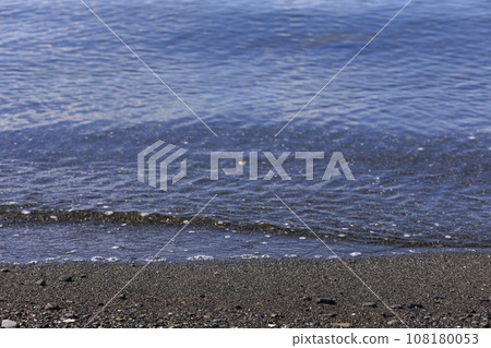 Gentle, sparkling shoreline 108180053