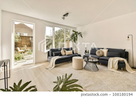 a living room with two couches and a large plant in the center of the room is an open window 108180194