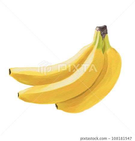 Banana illustration hand-painted oil painting style 108181547