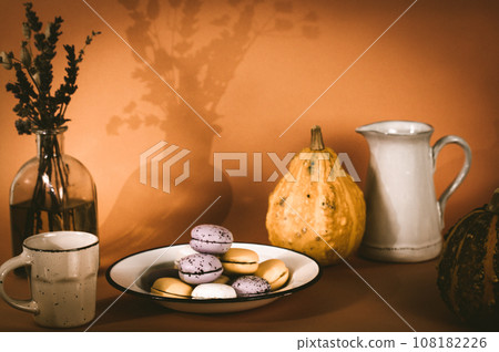 A plate with pumpkin-flavored macaroons. Cooked homemade cookies with rustic recipe. Pastry based on meringue from almond flour. Orange pumpkin in a background. Thanksgiving day table. Vintage photo A plate with pumpkin-flavored macaroons. Cooked homemade cookies with rustic recipe. Pastry based on meringue from almond flour. Orange pumpkin in a background. Thanksgiving day table. Vintage photo 108182226