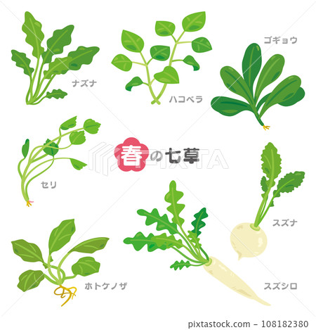 春天七草片假名套餐 春天七草片假名套餐 108182380