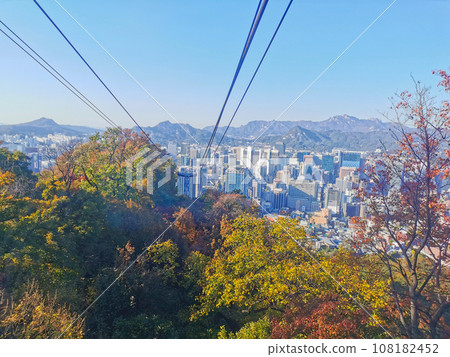 Fall maple leaves foliage Autumn with city apartments scene and cable car tower in Seoul, South Korea 108182452